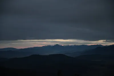 DSC_0158 (Large).JPG